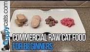 Raw Cat Food: What You Need to Know BEFORE Feeding Your Cat