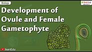 Biology Of Plants | Learn About Ovule and Gametophyte | iKen | iKen Edu | iKen App