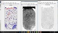 Fingerprint Minutiae Extraction using MATLAB.