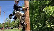 Pole climbing gear and techniques