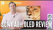 Sony A8H OLED 4K HDR TV Review | Better but cheaper?