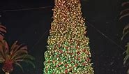 The 90 Foot Tall Christmas Tree in Newport Beach | Yellow Productions Travel Guides