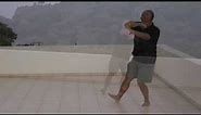 Wu Style Tai Chi Short Form Demonstrated by Bruce Frantzis