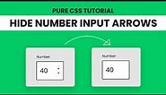 Hide Arrows From Input Number | CSS Tutorial
