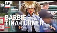 Barbie unveils new Tina Turner doll