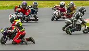 Moto GP for Kids from Age of 6: 2017 British Minibikes Championship: Rd 5, Minimoto Pro