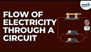 Flow of Electricity through a Circuit | Electricity and Circuits | Don't Memorise