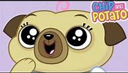 Chip and Potato | Chips Awesome Haircut | Cartoons For Kids