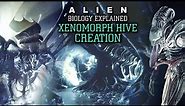 How do the Xenomorphs Create their Hives? (Hive Mind) - Alien Biology Explained