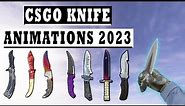 CSGO All Knives Skins And Rare Animations