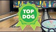 SWAG Big Bro Top Dog review