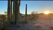 Sonoran Desert National Monument - Free Dispersed Camping/Boondocking Vekol Valley Road - AZ