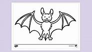 Cartoon Bat Colouring Sheet