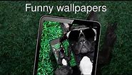 Funny wallpapers 4k