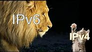 IPv6 Addresses Explained