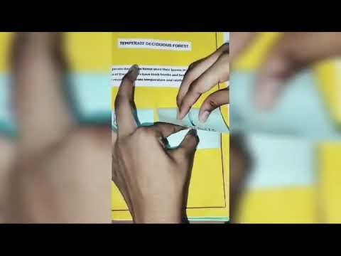 Sst interdisciplinary project-creative |class 9| Natural vegetation, wildlife,forest and colonialism