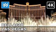 [4K] Bellagio Fountain Water Show at Night - Las Vegas Strip Best Attraction & Vacation Travel Guide