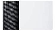 BLUEAIR Pro Air Purifier for Allergies Mold Smoke Dust Removal in Large Office Spaces Homes and Lobbies, Pro L, White