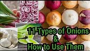 Types of Onions & How to Use Them/Onion Varieties/AgroStar