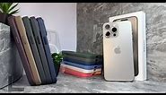NATURAL TITANIUM iPhone in ALL iPhone 15 Pro Max Cases: SILICONE/CLEAR/FINEWOVEN CASES