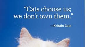 29 Cat Quotes Every Cat Owner Can Appreciate
