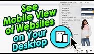 How Does A Mobile View Look Like On Your Desktop?