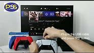 PS4 Controller T28