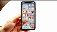 iPhone XR In Mid 2023! (Review)