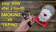 How Smoking vs Vaping Affects Your Lungs ● You Must See This ! !