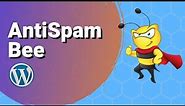 AntiSpam Bee - Plugin Setup Tutorial (Stop WordPress Email Spam)