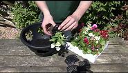 Easy fill Hanging Basket Planting Guide from gardenxtras.com