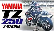 Yamaha TZ250 2-STROKE GP Racer!