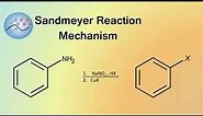 Sandmeyer Reaction Mechanism | Organic Chemistry