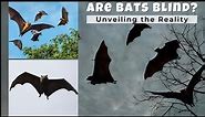 Myth: Are Bats Really Blind?