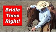 How To Bridle A Horse and Adjust The Bit Correctly - Training A Horse To Be Good To Bridle