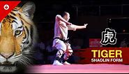 Shaolin TIGER FIST Form by WARRIOR Monk | BEST KUNG FU