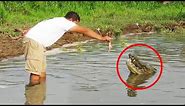 30 Scariest Crocodile Encounters of All Time