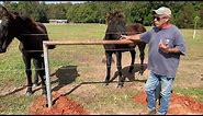 Installing a hitching post for the horses