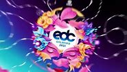 What a beautiful... - Electric Daisy Carnival - EDC Orlando