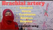 Anatomy of brachial artery | course | relations | branches| diagrammatic demonstration | upper limb