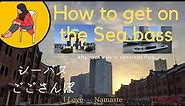 Yokohama / Seabass / Yamashita park /Red Brick Warehouse / How to get on the sea bass / Sakura