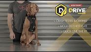 How to Fit a Dog Car Harness - EzyDog Drive Harness Setup Instructions