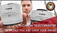 Canon Teleconverter - or should you just crop your image?