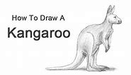 How to Draw a Kangaroo