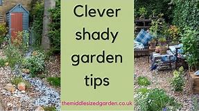 Brilliant shade garden ideas for north facing gardens and borders