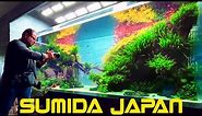 World's Best Planted Aquariums - Takashi Amano's Aquascapes