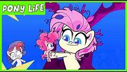 Pony Life | NEW | The Missing Animals in the Forest | MLP Pony Life