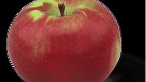 McIntosh Apple Review - Apple Rankings by The Appleist Brian Frange