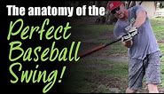 The 7 Steps to the Perfect Baseball Swing