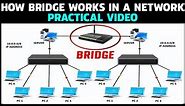What is bridge in Networking and How it works practical video | Networking Tutorial for Beginners